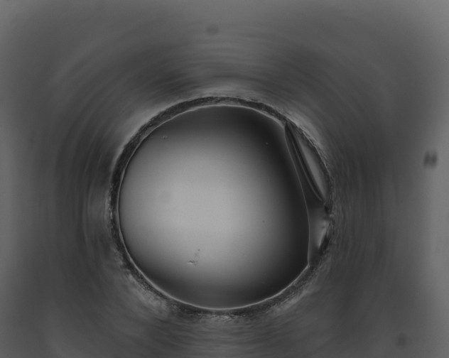 X0000093480880200710191204