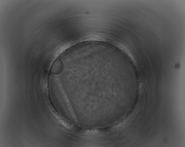 X0000093480882200710191204