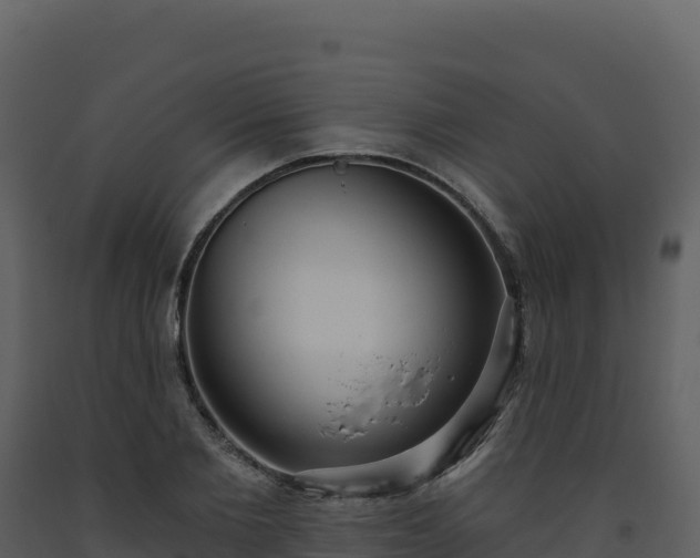 X0000093480885200710191204