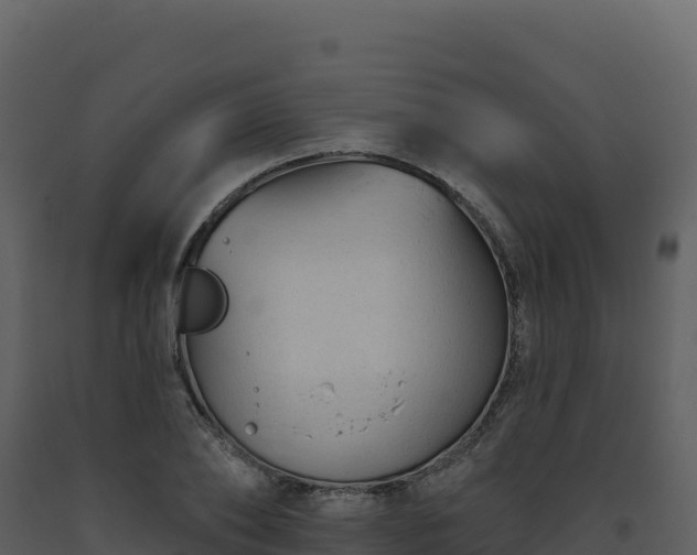X0000093480886200710191204