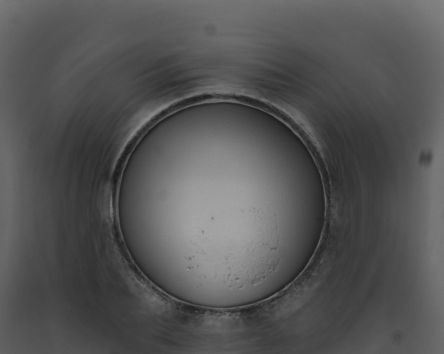 X0000093480887200710191204