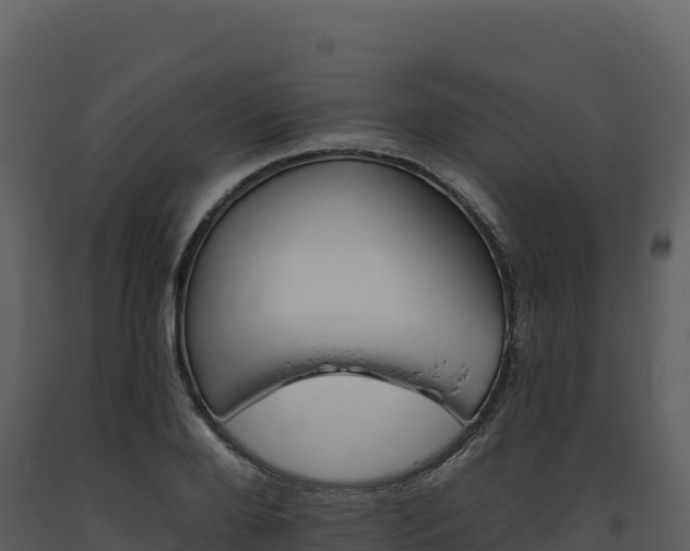 X0000093480888200710191204