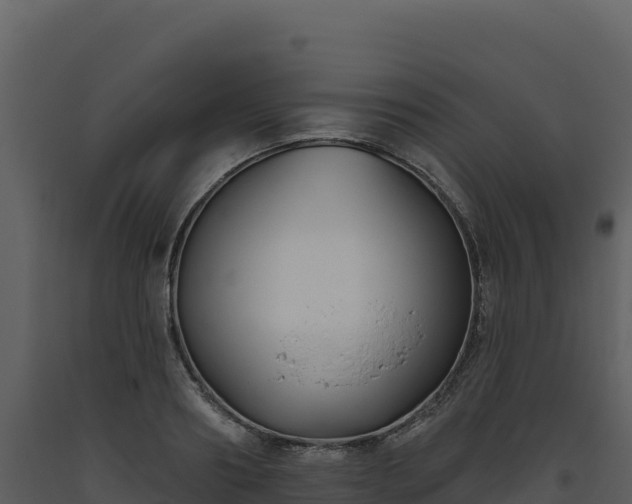 X0000093480890200710191204