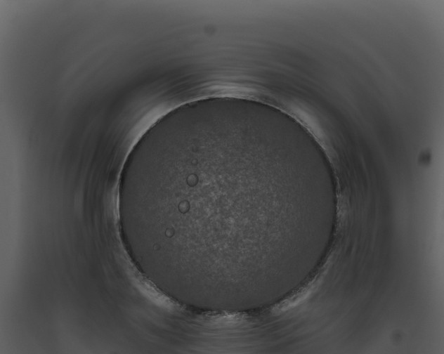 X0000093480891200710191204