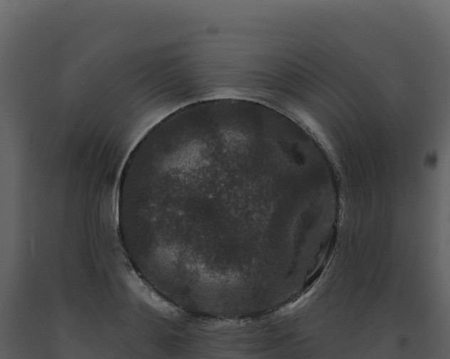 X0000093480892200710191204