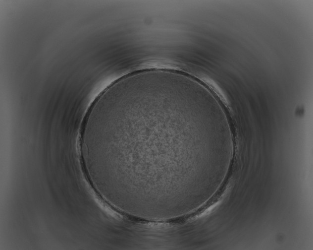 X0000093480893200710191204
