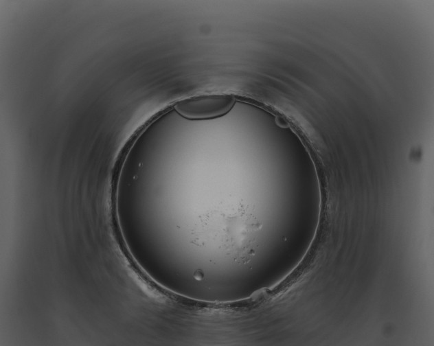 X0000093480894200710191204