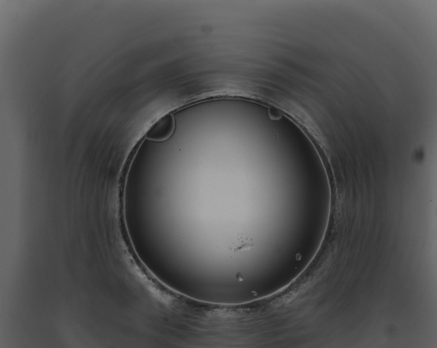 X0000093480898200710191204