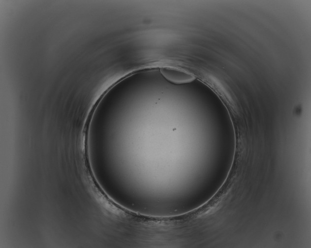 X0000093480900200710191203