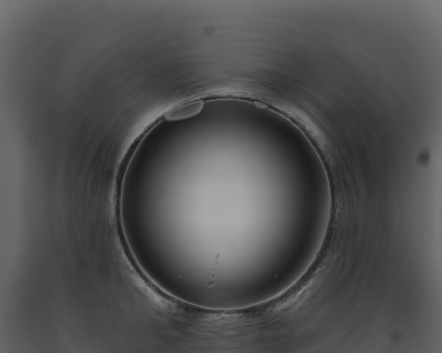 X0000093480902200710191203