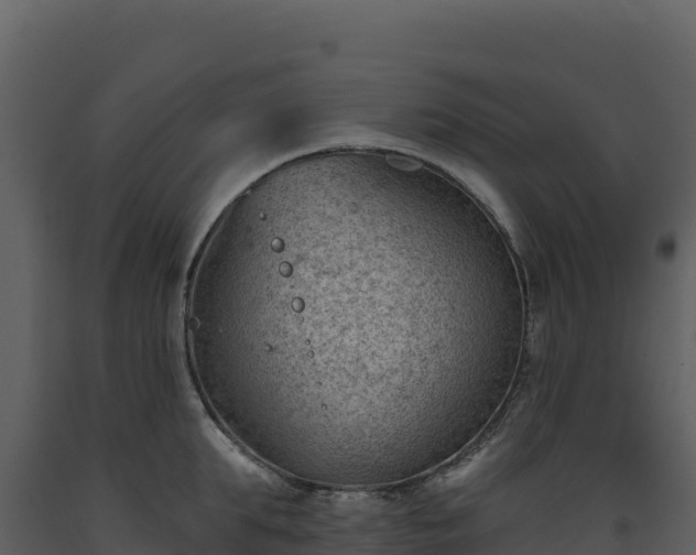 X0000093480903200710191203
