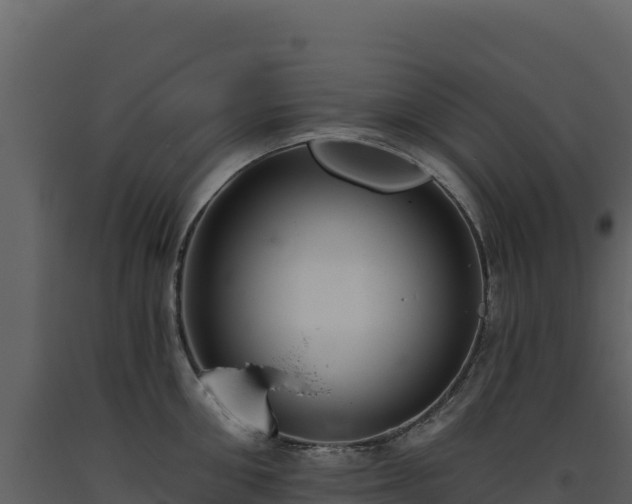 X0000093480906200710191203