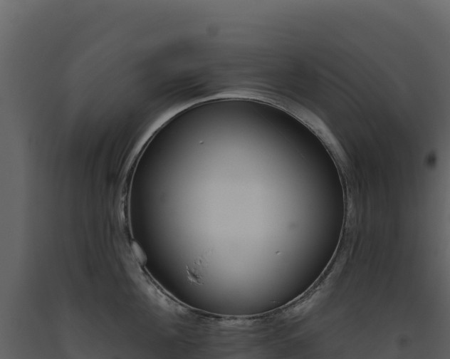 X0000093480908200710191203