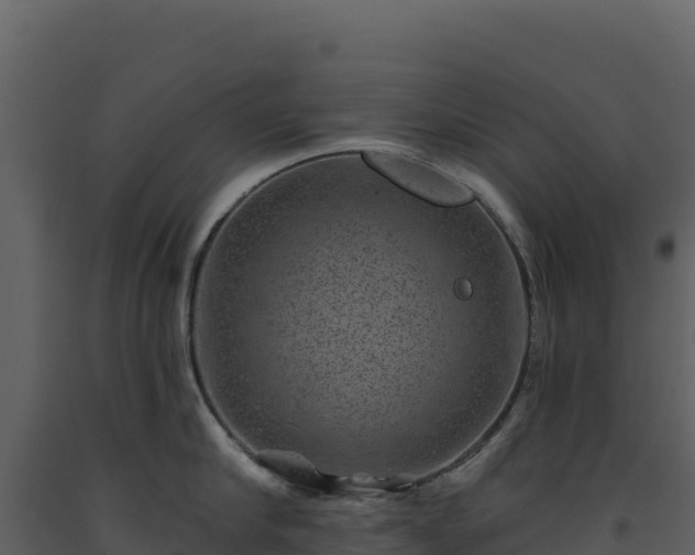 X0000093480910200710191203