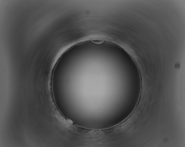 X0000093480912200710191203