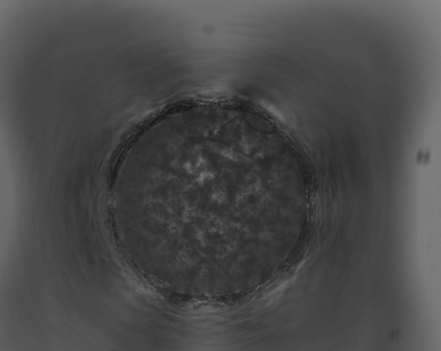X0000093480913200710191203