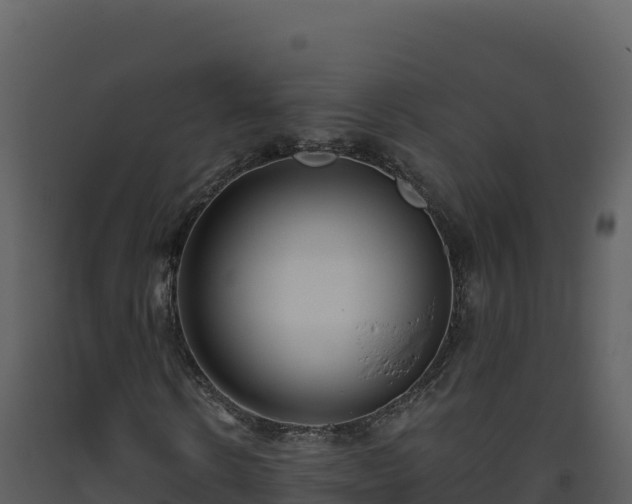 X0000093480914200710191203