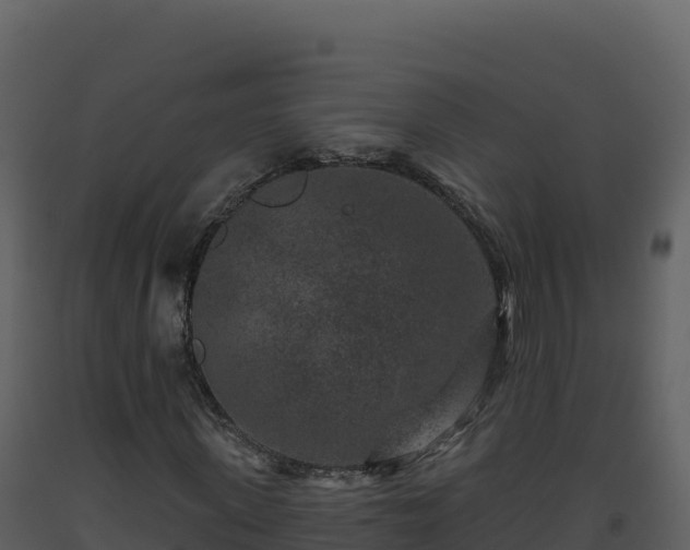 X0000093480915200710191203