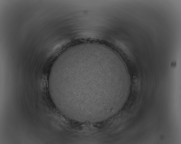 X0000093480918200710191203