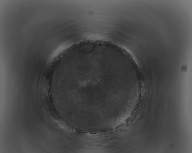 X0000093480919200710191203
