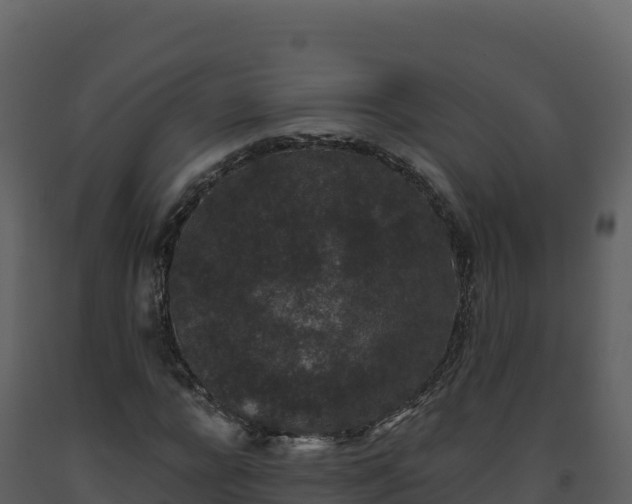 X0000093480920200710191203