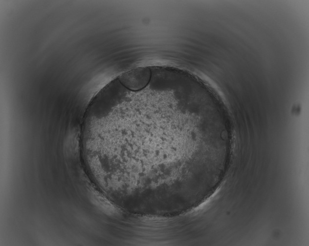 X0000093480921200710191203