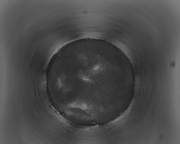 X0000093480923200710191203