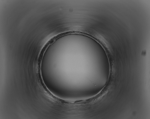 X0000093480924200710191203