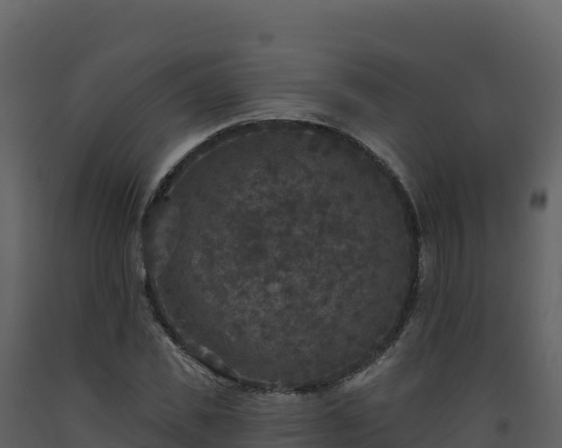 X0000093480925200710191203