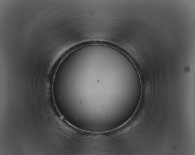 X0000093480926200710191203