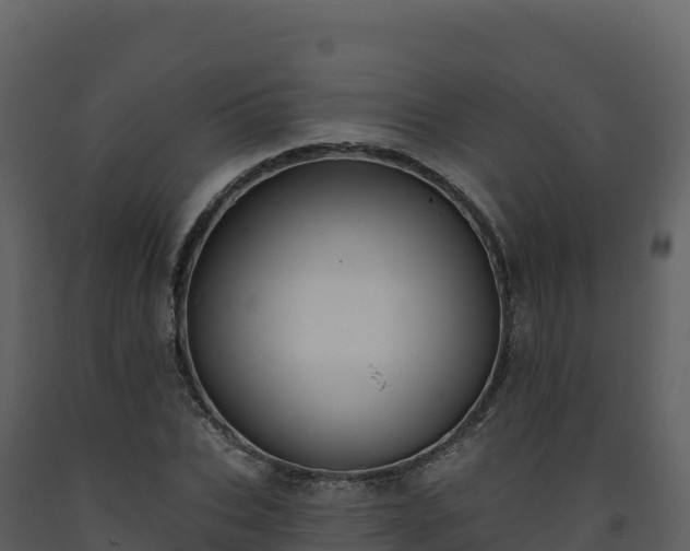X0000093480927200710191203