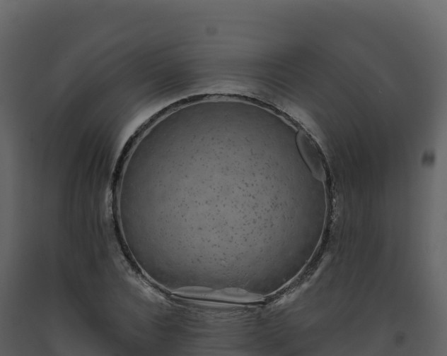 X0000093480928200710191203