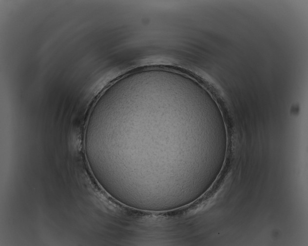 X0000093480929200710191203