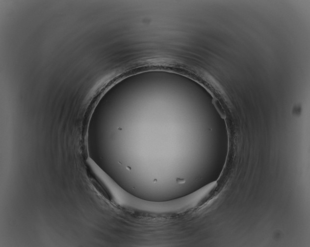 X0000093480930200710191203