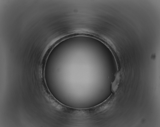 X0000093480931200710191203