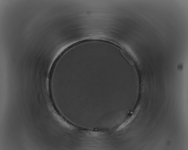 X0000093480932200710191203