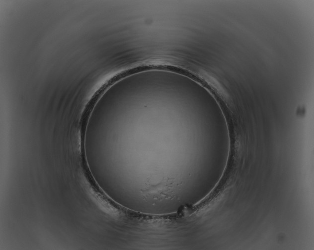 X0000093480934200710191203