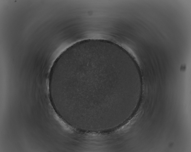 X0000093480935200710191203