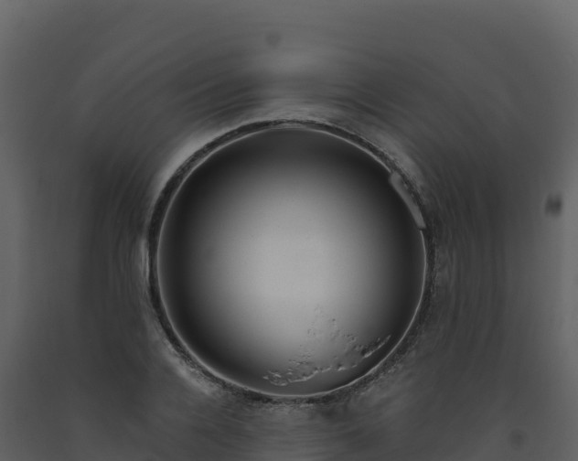 X0000093480936200710191203