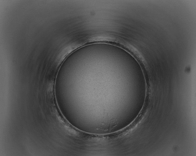 X0000093480937200710191203