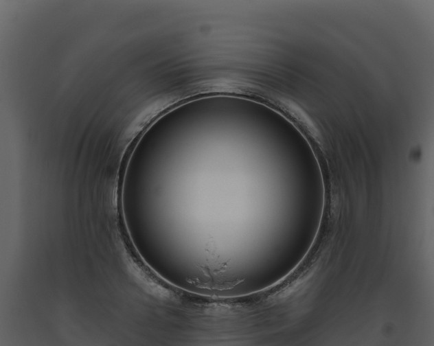 X0000093480938200710191203