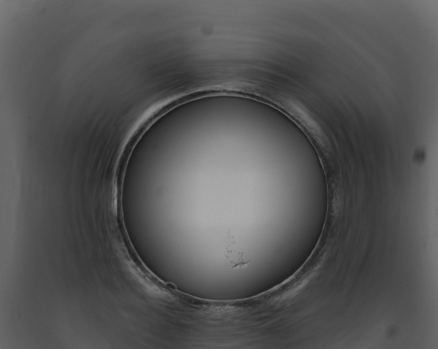 X0000093480940200710191203