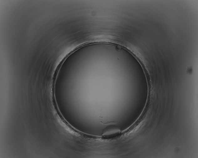 X0000093480941200710191203