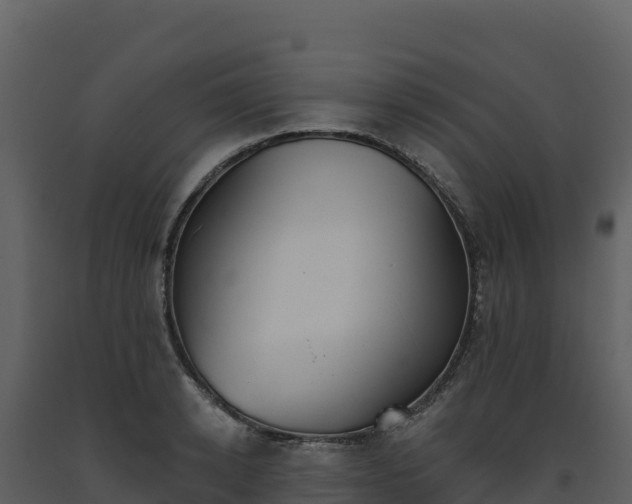 X0000093480942200710191203