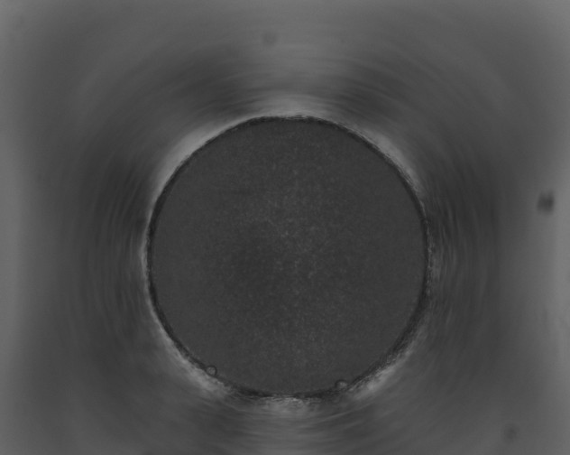 X0000093480943200710191203