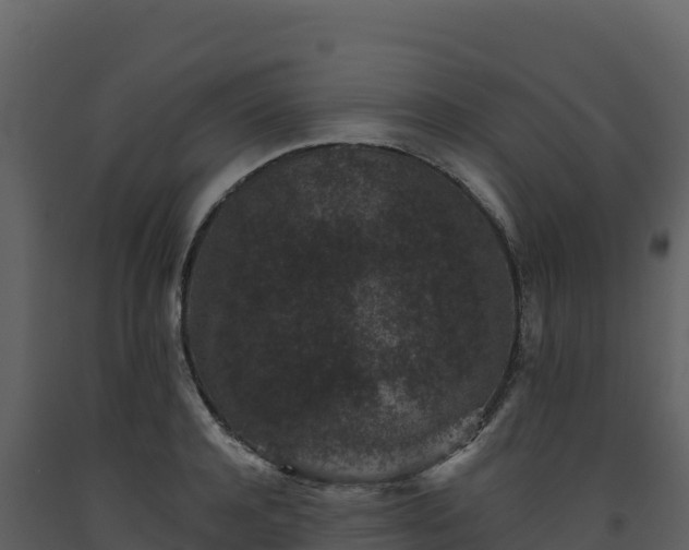 X0000093480944200710191203