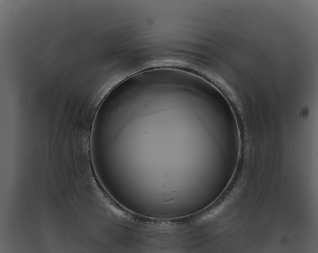 X0000093480945200710191203