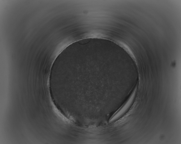 X0000093480946200710191203