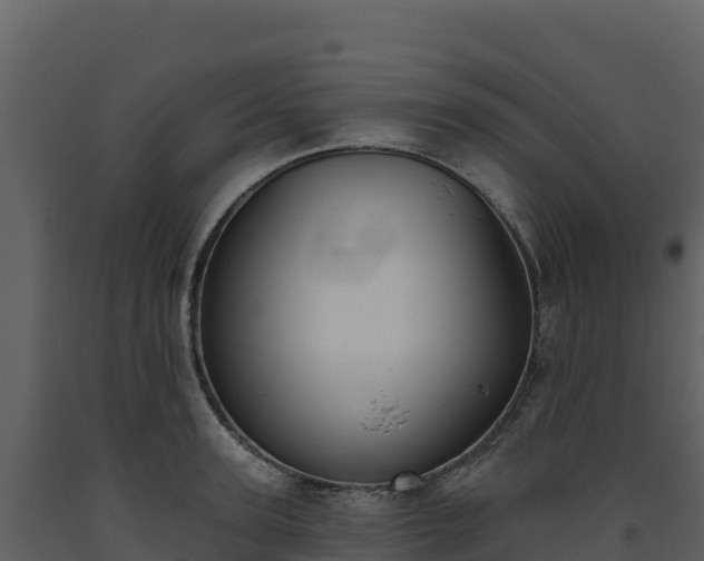 X0000093480947200710191203