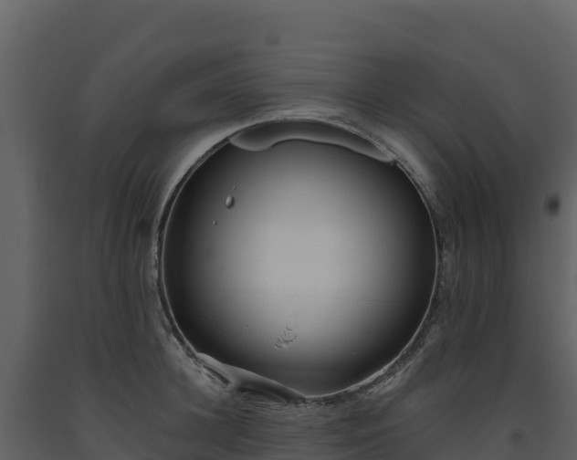 X0000093480948200710191203